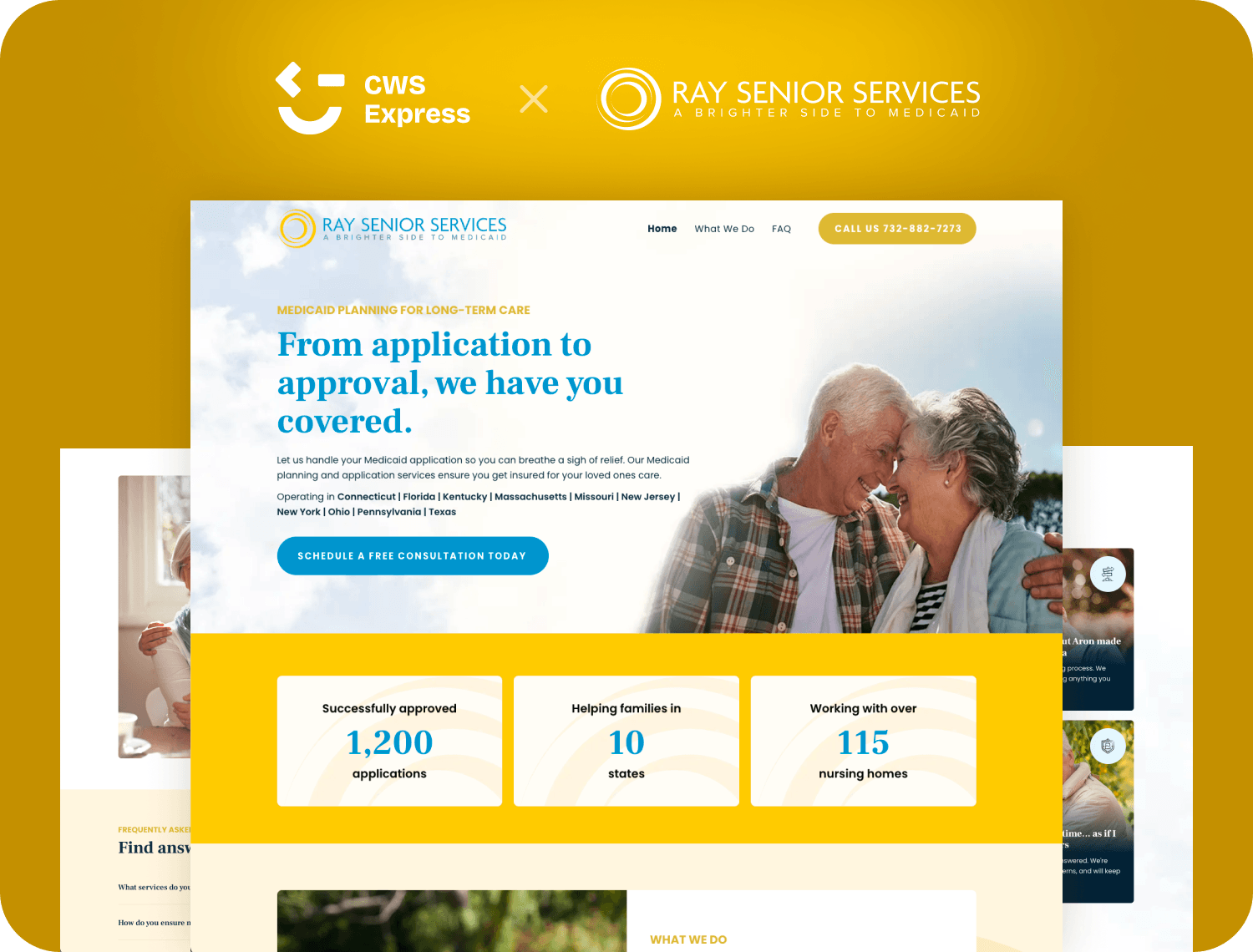 Ray Senior Services website preview
